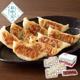 【お中元2026】宇都宮餃子館 健太餃子 ぎょうざ 餃子【送料込み】【二重包装不可】【お届け不可地域：離島】_568