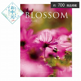 【お中元2026】ブロッサム コスモス カタログギフト【送料込み】【二重包装不可】_1082