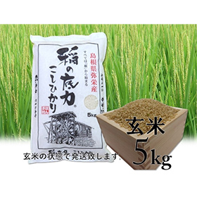 令和5年産 島根県特産品コシヒカリ稲の底力こしひかり玄米5ｋｇ【送料込み】【お届け不可地域：北海道・沖縄・離島】