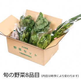 下郷農協の 旬の野菜8品目【送料込み】