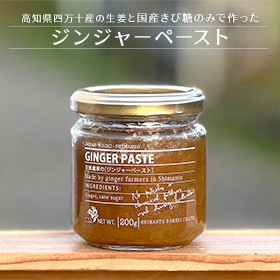 ジンジャーペースト 200g 国産 生姜 しょうが 無添加 農薬不使用 高知県産 【送料込み】【お届け不可地域：北海道・沖縄・離島】