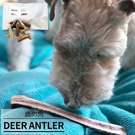 No.2 DEER ANTLER 鹿の角 1本 ペットフード ペットのおやつ ドッグフード キャットフード シカ ツノ【送料込み】【お届け不可地域：北海道・沖縄・離島】