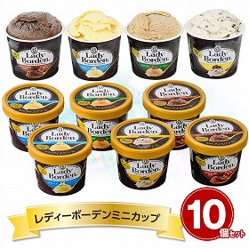 レディーボーデンミニカップ10個セット R894T スイーツ アイスクリーム【送料込み】【お届け不可地域:離島】