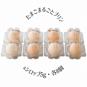 北坂たまご たまごまるごとプリン KP-R8 4259-015 スイーツ 洋菓子 プリン【送料込み】【お届け不可地域：北海道・沖縄・離島】