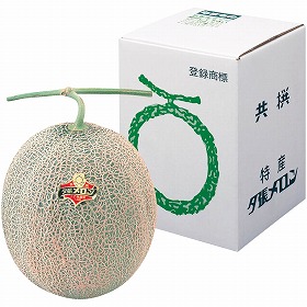 【お中元2025】夕張メロン 特大玉 Y10-3A フルーツ 果物【送料込み】【二重包装不可】【お届け不可地域:離島】【お届け日時指定不可】_630