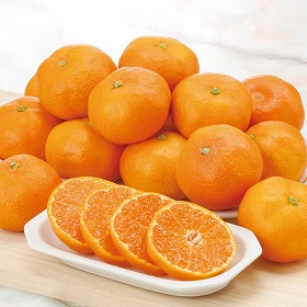 【お中元2025】佐賀県産 ハウスみかん R13-1S フルーツ 果物 みかん【送料込み】【二重包装不可】【お届け不可地域:離島】【お届け日時指定不可】_650