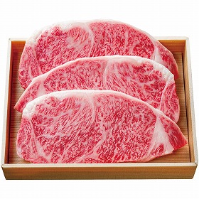 【お中元2025】チャンピオン農家の宮崎牛 サーロインステーキ用 5等級 Y5-5Y 牛肉【送料込み】【二重包装不可】【お届け不可地域:離島】_815