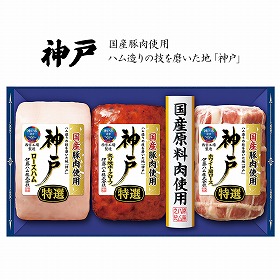 【お中元2025】伊藤ハム 国産豚肉使用 神戸IKE-5 ハムギフト 詰合せ【送料込み】【二重包装不可】