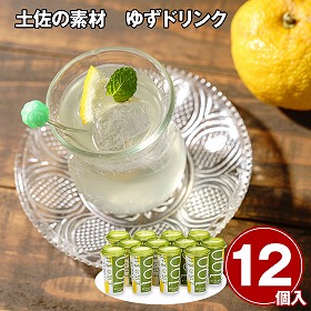 土佐の素材 ゆずドリンク 12本 ジュース 飲料【送料込み】【お届け不可地域：離島】