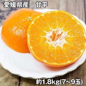 愛媛県産 甘平 1.8kg フルーツ 果物【送料込み】【お届け不可地域：離島】