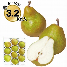 【お歳暮2025】いずみ会の山形産ラ・フランス約3.2kg 9830-036 フルーツ 果物【送料込み】【二重包装不可】【お届け不可地域:北海道・沖縄・離島】【お届け日時指定不可】