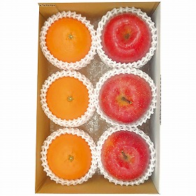 【お歳暮2025】愛媛県産 紅まどんな&青森県産 蜜入りサンふじ 9832-016 フルーツ 果物【送料込み】【二重包装不可】【お届け不可地域:北海道・沖縄・離島】【お届け日時指定不可】