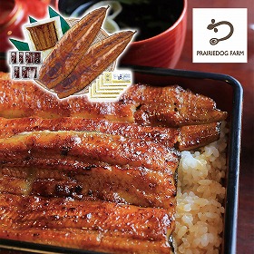 プレーリードッグ ファーム 特大 鹿児島県産うなぎ蒲焼セット 永谷園お吸い物付 PFU-021A 4822-630 鰻【送料込み】【二重包装不可】【お届け不可地域：北海道・沖縄・離島】