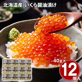北海道産 いくら醤油漬け 480g イクラ【送料込み】【二重包装不可】【お届け不可地域：離島】