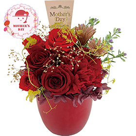 【母の日2026】プリザーブドフラワーフルールソワレ レッド 26-MD-06-RE 1852-024 花【送料込み】【二重包装不可】【お届け不可地域：北海道・沖縄・離島】【お届け日時指定不可】