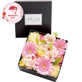 【母の日2026】生花フラワーボックス 26-MD-FF0２ 1852-341 フラワー 花【送料込み】【二重包装不可】【お届け不可地域：北海道・沖縄・離島】【お届け日時指定不可】