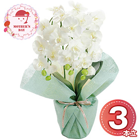 【母の日2026】アーティフィシャルフラワー ミニ胡蝶蘭3本立ち ホワイト 25-MD-06-WH 1852-125【送料込み】【お届け不可地域：北海道・沖縄・離島】【お届け日時指定不可】