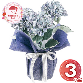 【母の日2026】アーティフィシャルフラワー紫陽花3本立ち ブルー 26-MD-09-BL 1852-226【送料込み】【二重包装不可】【お届け不可地域：北海道・沖縄・離島】【お届け日時指定不可】