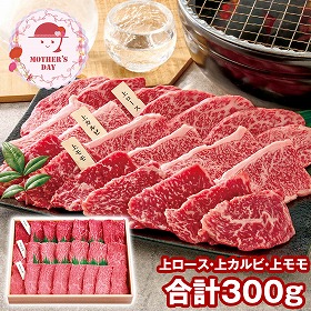 【母の日2026】宮崎牛 焼肉食べ比べ 5等級 牛肉 詰合せ【送料込み】【二重包装不可】【お届け不可地域：離島】【お届け日時指定不可】_81057