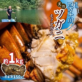 清流 四万十川の天然ツガニ！約1kg 蟹 カニ【送料込み】【二重包装不可】【お届け不可地域：北海道・沖縄・離島】