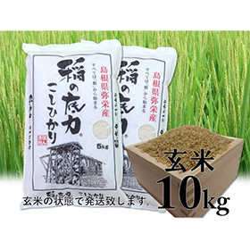 令和4年産 島根県特産品コシヒカリ稲の底力こしひかり玄米5ｋｇ×2（合計10ｋｇ）【送料込み】【お届け不可地域：北海道・沖縄・離島】