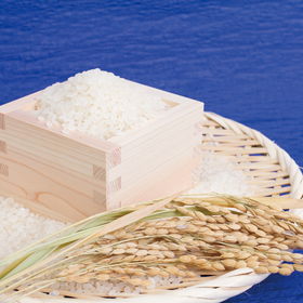 米 お米 こめ おこめ 鳥取県産米「星空舞」 5kg ギフト 【送料込み】