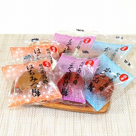 紀州南高梅アソートセレクション24個入×2袋【送料込み】【お届け不可地域:北海道・沖縄・離島】