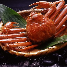 ボイル ずわいがに姿 600g×1杯 ズワイガニ 蟹.カニ かに【送料込み】
