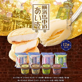 横濱馬車道あいす&もなか計12個セット TBW2Y スイーツ アイスクリーム【送料込み】【お届け不可地域:離島】
