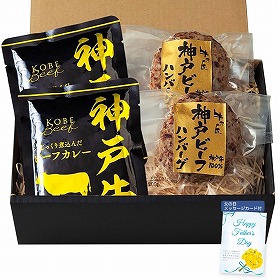 【父の日2025】神戸ビーフハンバーグ&カレー詰合せ 3784-35 4997-336 洋風惣菜 詰合せ【送料込み】【二重包装不可】【お届け不可地域:北海道・沖縄・離島】【お届け日時指定不可】