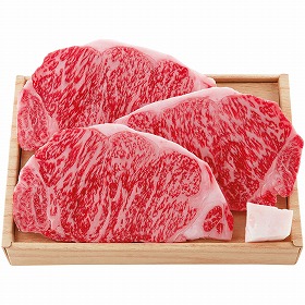 【お中元2025】飛騨牛 サーロインステーキ用 T5-3 牛肉【送料込み】【二重包装不可】【お届け不可地域:離島】_816