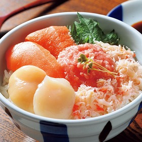 【お中元2025】海鮮丼の具 B3-1 和風惣菜 丼 豚丼【送料込み】【二重包装不可】【お届け不可地域:離島】_878