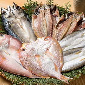 海鮮一汐開きセット 魚介 干物【送料込み】【二重包装不可】【お届け不可地域：離島】