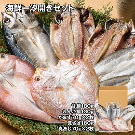 海鮮一汐開きセット 魚介 干物【送料込み】【二重包装不可】【お届け不可地域：離島】