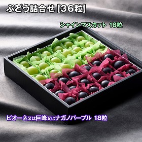 ぶどう詰合せ 36粒 フルーツ 果物【送料込み】【二重包装不可】【お届け不可地域:離島】