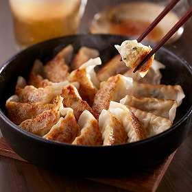 福岡 博多華味鳥 ひとくち餃子セット ぎょうざ【送料込み】【二重包装不可】【お届け不可地域：離島】