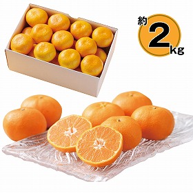 【お歳暮2025】愛媛県産 みかん約2kg 9811-036 フルーツ 果物【送料込み】【お届け不可地域:北海道・沖縄・離島】