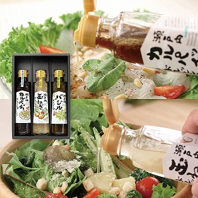 カスターニャ 瀬戸内ドレッシング3本セット 4826-676 【送料込み】【お届け不可地域：北海道・沖縄・離島】