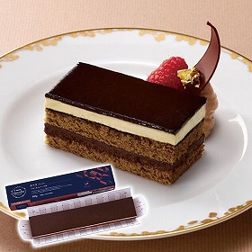 味の素 冷凍 フリーカットケーキ オペラ ベルギー産チョコレート使用 460g スイーツ 洋菓子 ホームパーティー 業務用【送料込み】【二重包装不可】