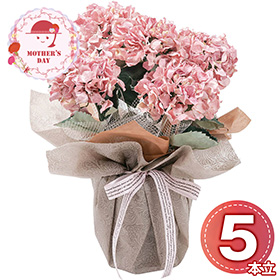 【母の日2026】アーティフィシャルフラワー紫陽花5本立ち ピンク 26-MD-10-PI 1852-238【送料込み】【二重包装不可】【お届け不可地域：北海道・沖縄・離島】【お届け日時指定不可】