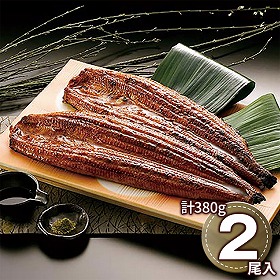 九州産 うなぎの蒲焼 計380g ARE-064 1892-319 和風惣菜 鰻【送料込み】【二重包装不可】【お届け不可地域：北海道・沖縄・離島】