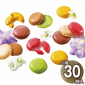 ダロワイヨ マカロンラスク 30枚入 MRU30 1897-751 スイーツ 洋菓子【送料込み】【二重包装不可】【お届け不可地域：北海道・沖縄・離島】