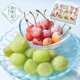 【お中元2026】山形県産 冷凍さくらんぼ 佐藤錦 ＆冷凍シャインマスカット フルーツ 果物 瞬間冷凍【送料込み】【二重包装不可】【お届け不可地域：離島】_511