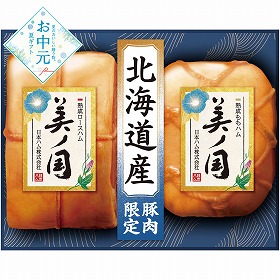 【お中元2026】日本ハム 北海道 プレミアム 美ノ国 ハムギフト【送料込み】【二重包装不可】【お届け不可地域：離島】_954