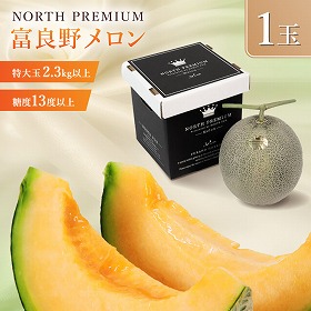 富良野メロン NORTH PREMIUM 1玉入り フルーツ 果物 メロン 北海道 ふらの【送料込み】【二重包装不可】【お届け不可地域：沖縄】【お届け日時指定不可】