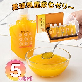 ワッフルアトリエ ムエル 愛媛県産飲むゼリー5本セット【送料込み】【お届け不可地域:北海道・沖縄・離島】