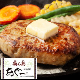PA-SY23-SO43 美ら島あぐー豚生ハンバーグ【送料込み】【お届け不可地域:北海道・沖縄・離島】