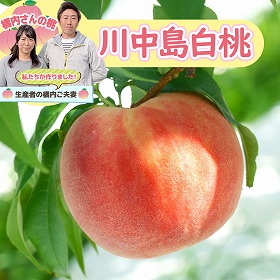 橘内さんの桃 川中島白桃 2kg【送料込み】【お届け不可地域：沖縄・離島】【お届け日の指定不可】