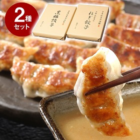 芦屋 伊東屋謹製 黒豚餃子 九条葱餃子 セット KN-35G 中華 点心 ぎょうざ ギョウザ【送料込み】【お届け不可地域:北海道・沖縄・離島】