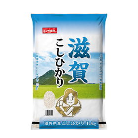 滋賀県産こしひかり 10kg 米匠庵のお米【送料込み】